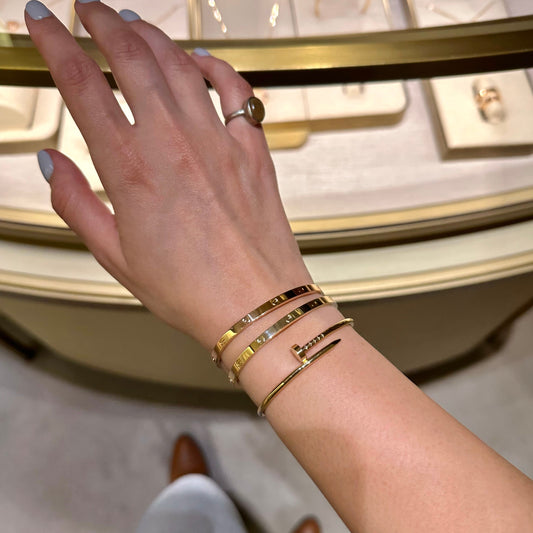 Cartier Nail & Love Bangle with Snake chain bracelet